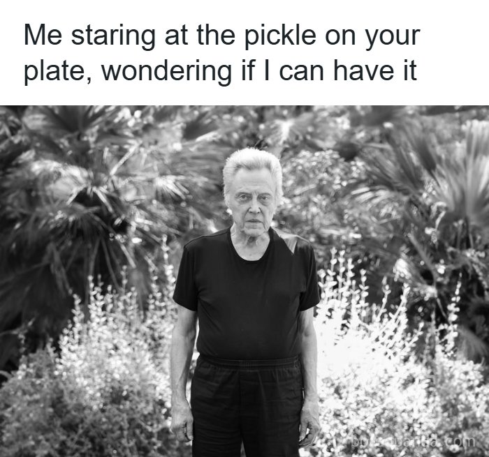 Man staring at pickle on plate in relatable memes collection