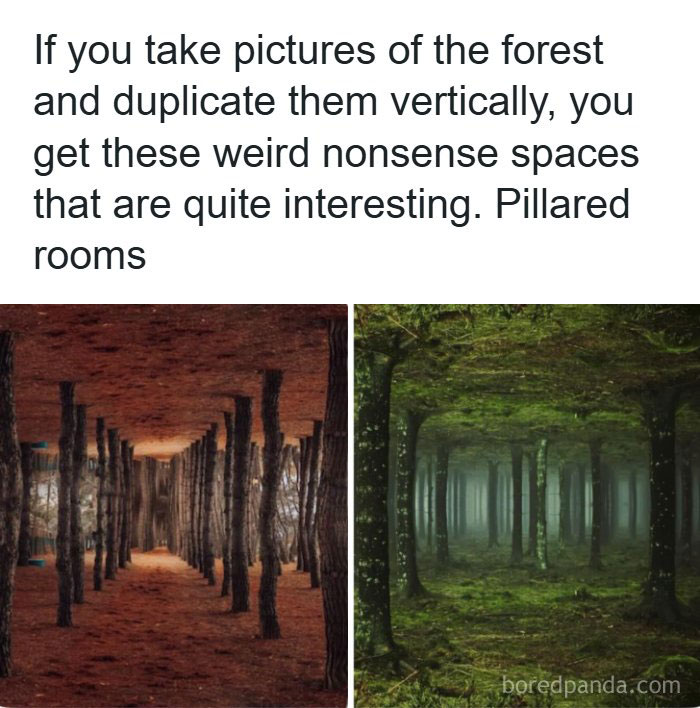 Interesting facts about the world featuring vertically mirrored forest photos that look like pillared rooms.