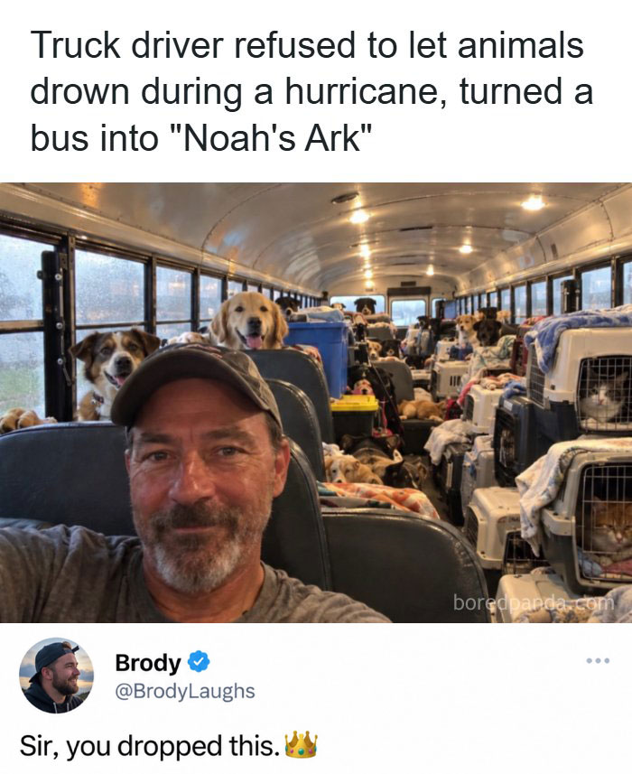 A man takes a selfie inside a school bus full of rescued dogs and cats, exemplifying entertaining and fun posts.