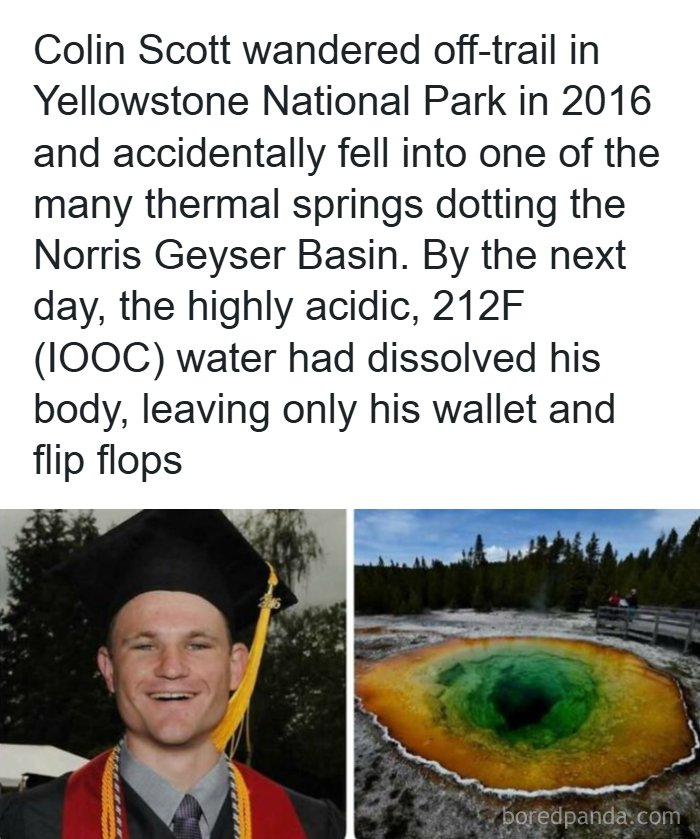 Colin Scott and the Norris Geyser Basin, depicting creepy facts and news stories about his tragic accident.