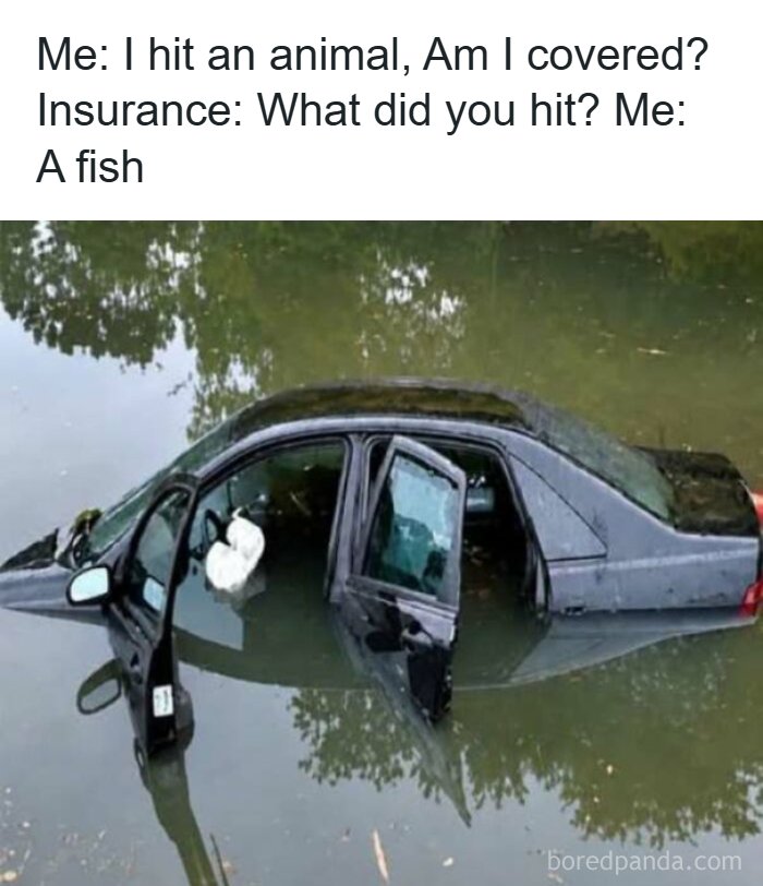 Strange pics of a car submerged in water with a meme caption about hitting a fish.