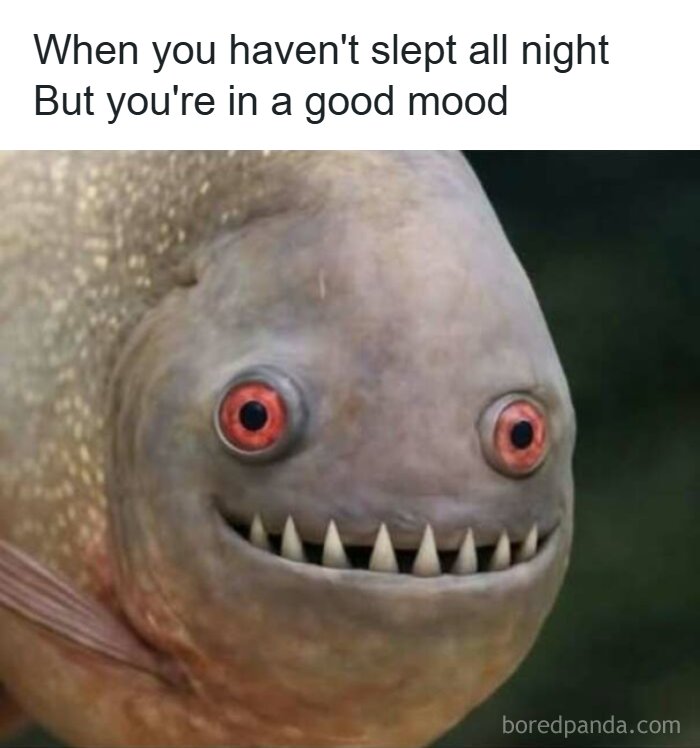 Funny pics featuring a grinning fish with sharp teeth looking awake after no sleep