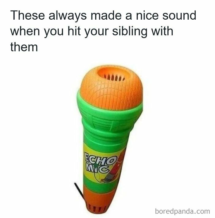 A colorful plastic Echo Mic toy microphone, a nostalgic item from childhood that brings back fun memories.