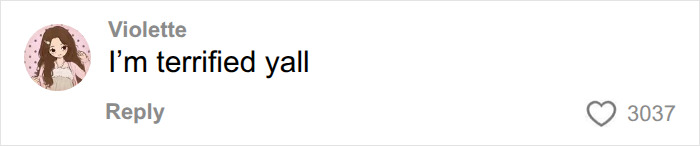 Online comment expressing worry, relating to Dell CEO wife's appearance at White House