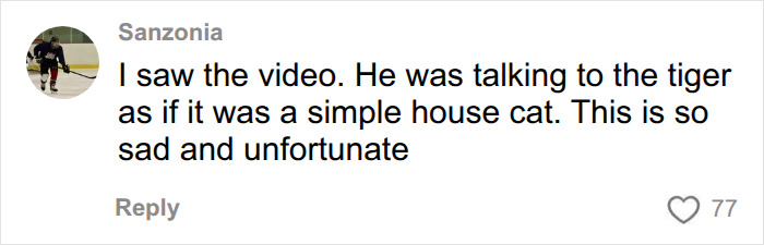 Comment about former child actor talking to tiger like a house cat at UK wildlife park Comment about former child actor talking to tiger like a house cat at UK wildlife park