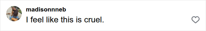 A critical online comment calling the Erika Kirk parody costume cruel.