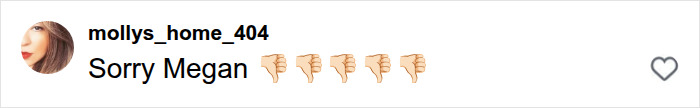 An Instagram comment showing disapproval during the Megan Fox backlash An Instagram comment showing disapproval during the Megan Fox backlash
