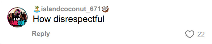 A comment on an online post highlighting the disrespectful actions of tourists on a beach.