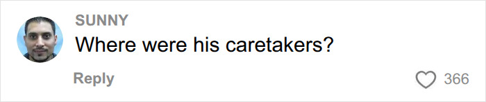 Comment questioning where the caretakers were during tiger enclosure incident UK wildlife park Comment questioning where the caretakers were during tiger enclosure incident UK wildlife park