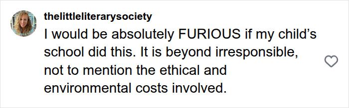 A user comment criticizing a school for creating an unsettling image, calling it irresponsible and unethical.
