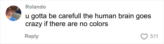 Online comment regarding beige mom aesthetic stating the brain goes crazy without colors. Online comment regarding beige mom aesthetic stating the brain goes crazy without colors.