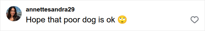 An Instagram comment expressing concern for the dog of the Laguna Beach Karen who ruined a proposal An Instagram comment expressing concern for the dog of the Laguna Beach Karen who ruined a proposal