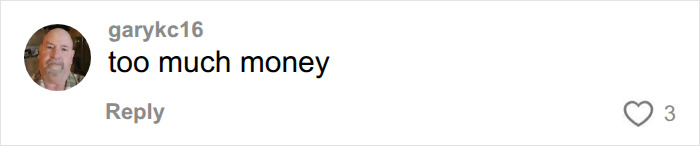 A user comment saying too much money on the post featuring the Dell CEO's wife.
