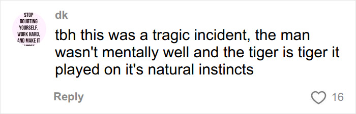 Comment discussing tragic incident involving tiger and man at UK wildlife park Comment discussing tragic incident involving tiger and man at UK wildlife park