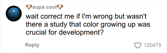 User comment questioning if color is crucial for baby development in beige mom debate User comment questioning if color is crucial for baby development in beige mom debate