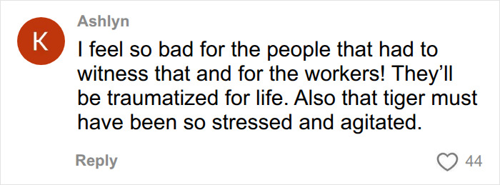 Comment expressing sympathy for people and tiger affected in UK wildlife park incident Comment expressing sympathy for people and tiger affected in UK wildlife park incident