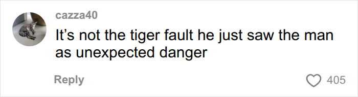 Social media comment on tiger perceiving man as danger Social media comment on tiger perceiving man as danger
