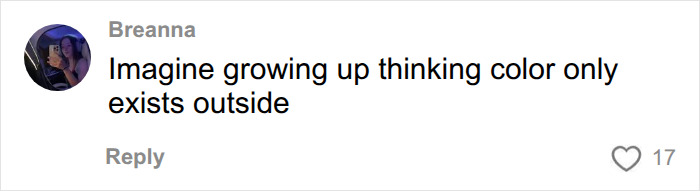 Comment on a beige mom post joking about a child growing up thinking color only exists outside. Comment on a beige mom post joking about a child growing up thinking color only exists outside.
