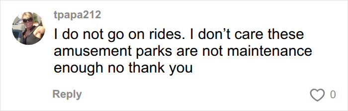 A social media comment discussing safety concerns following a Six Flags roller coaster incident. A social media comment discussing safety concerns following a Six Flags roller coaster incident.