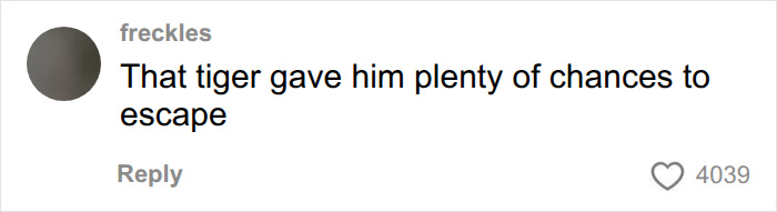 Social media comment about tiger giving chances to escape Social media comment about tiger giving chances to escape