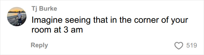 A social media comment by Tj Burke reacting to the viral news of Dell CEO wife's White House appearance.