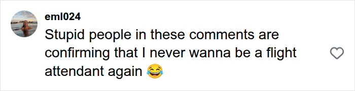 A social media comment on Hugh Lovett plane safety demo incident from user eml024 about flight attendants.
