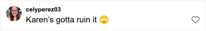 A user comment reacting to the Laguna Beach Karen who ruined the couple's moment A user comment reacting to the Laguna Beach Karen who ruined the couple's moment