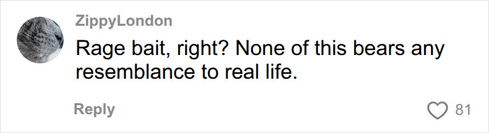 Comment calling a video rage bait during a discussion on European customer service and dining out. Comment calling a video rage bait during a discussion on European customer service and dining out.