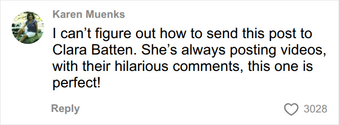 Comment about sharing funny videos and meal plans Comment about sharing funny videos and meal plans
