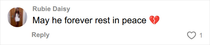 Comment wishing for peace after tiger enclosure incident at UK wildlife park Comment wishing for peace after tiger enclosure incident at UK wildlife park