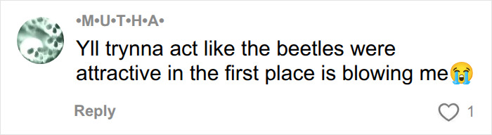 A social media comment criticizing Barry Keoghan's appearance and the Beatles comparison.