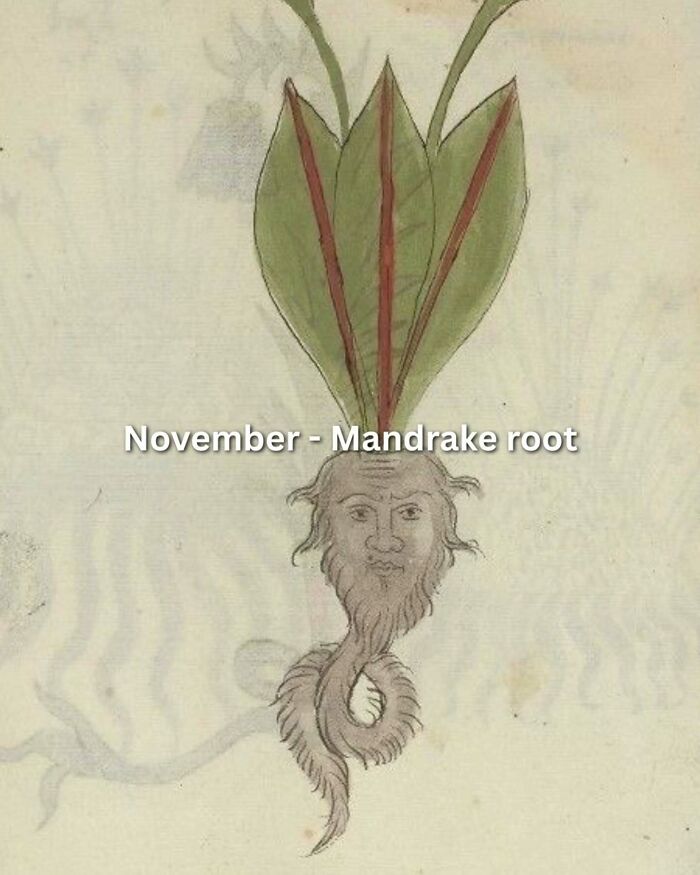 A medieval art meme showing a woman stretching her back with a birth month caption