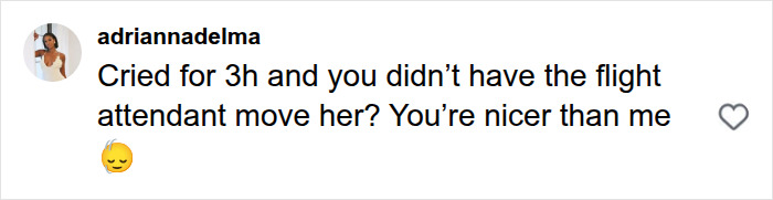 Comment criticizing flight attendant for not moving crying passenger