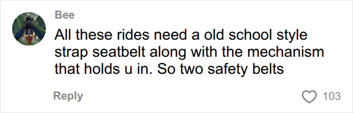 Social media comment advocating for double safety belts on a Six Flags roller coaster. Social media comment advocating for double safety belts on a Six Flags roller coaster.