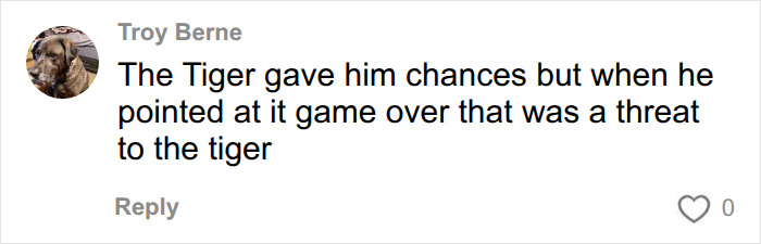 Comment discussing tiger behavior and threat in UK wildlife park enclosure incident Comment discussing tiger behavior and threat in UK wildlife park enclosure incident