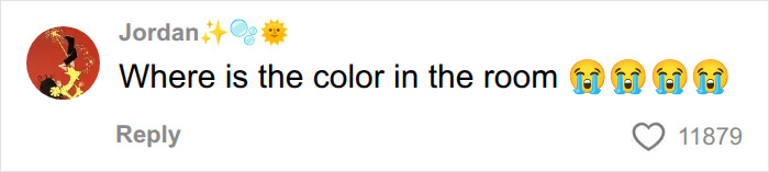 Social media comment asking where the color is in the room regarding the beige mom aesthetic. Social media comment asking where the color is in the room regarding the beige mom aesthetic.