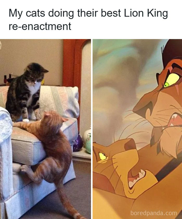 Cats re-enacting Lion King scene on couch in funny old-school cat meme