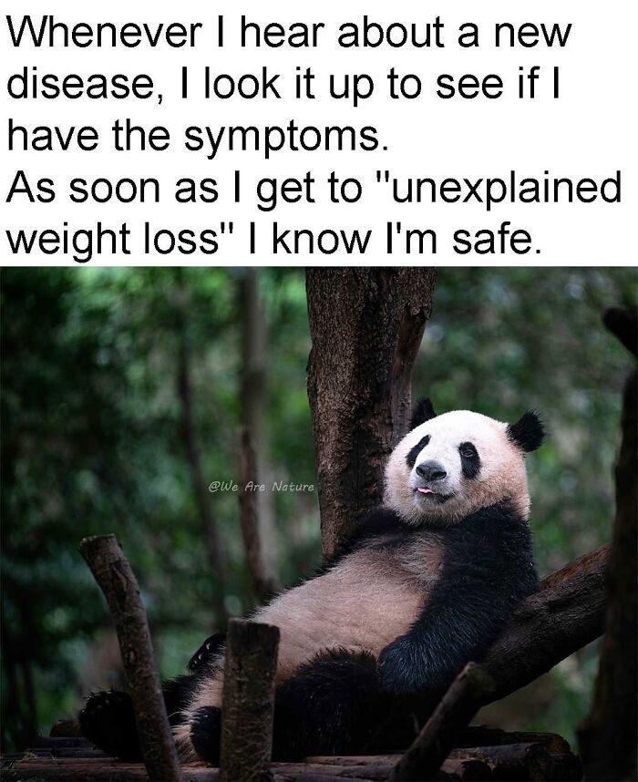 Relatable animal memes with a giant panda resting lazily against a tree trunk