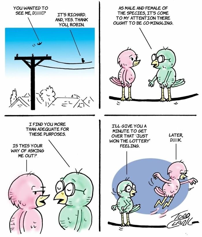 These Two Birds Have An Opinion About Everything, And Their Conversations Are Hilarious (25 Comics)