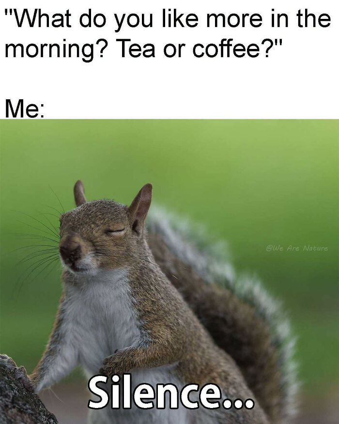 Cute animal memes show a squirrel with its eyes closed enjoying the morning silence.