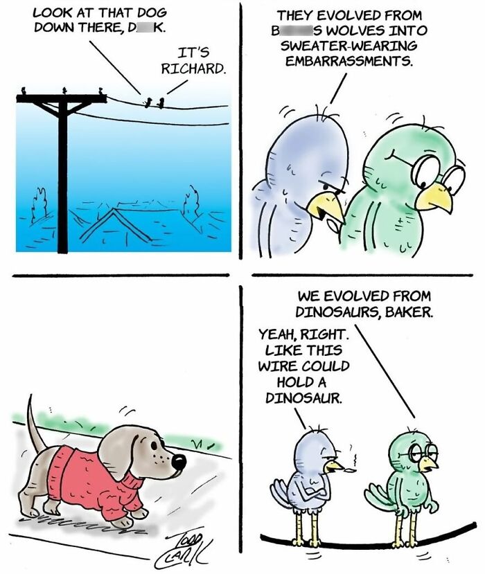 These Two Birds Have An Opinion About Everything, And Their Conversations Are Hilarious (25 Comics)