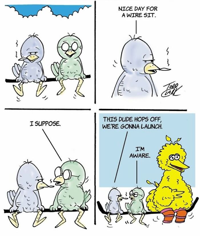 These Two Birds Have An Opinion About Everything, And Their Conversations Are Hilarious (25 Comics)