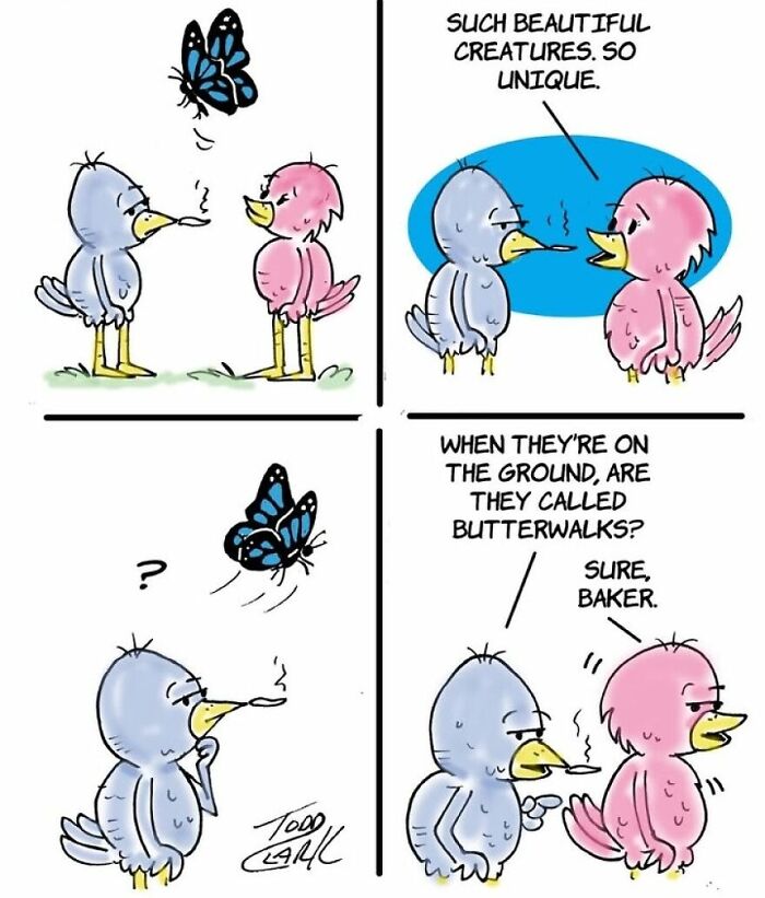 These Two Birds Have An Opinion About Everything, And Their Conversations Are Hilarious (25 Comics)