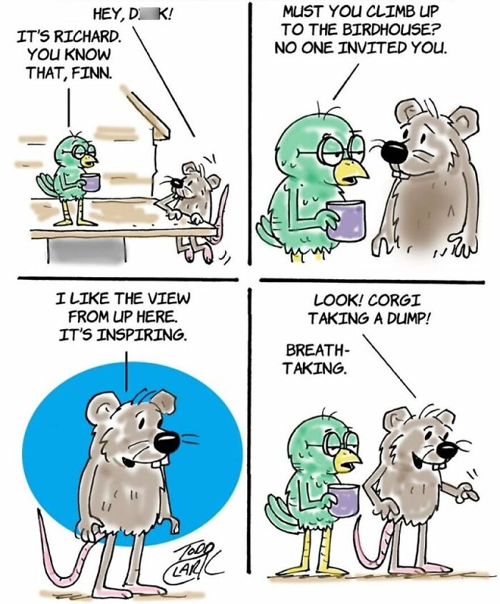 These Two Birds Have An Opinion About Everything, And Their Conversations Are Hilarious (25 Comics)