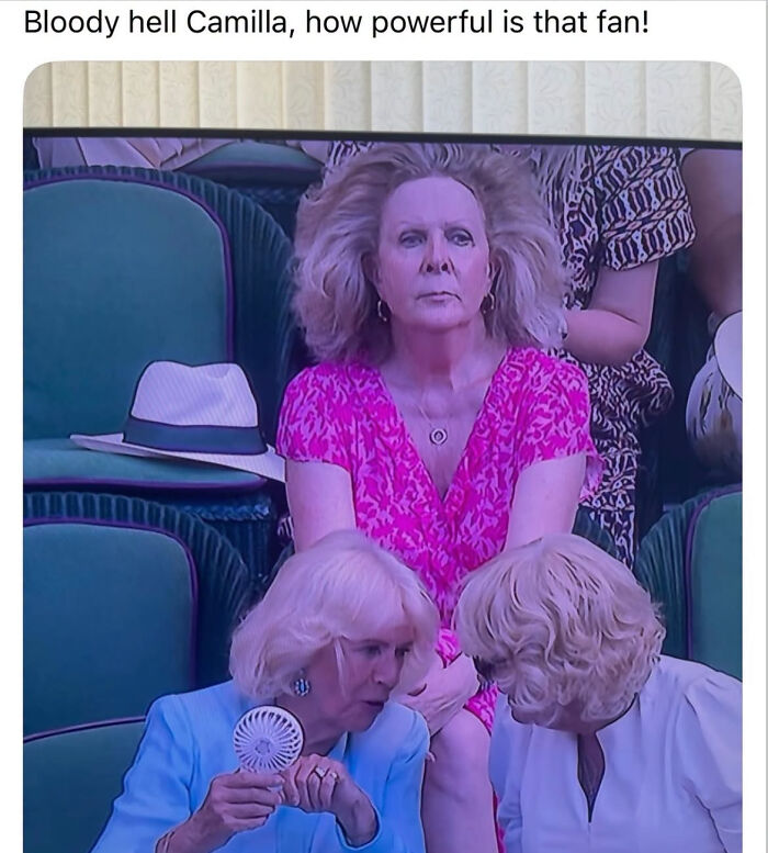A funny picture of a woman with blown-back hair at an event, featured in edgy memes