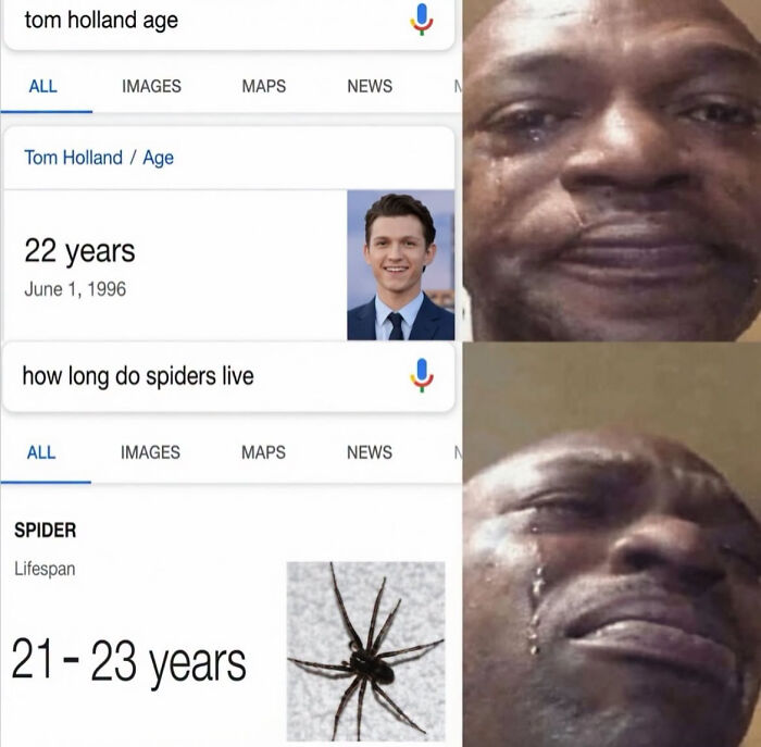 A crying man meme comparing Tom Holland age to a spider lifespan, perfect for edgy memes lovers.