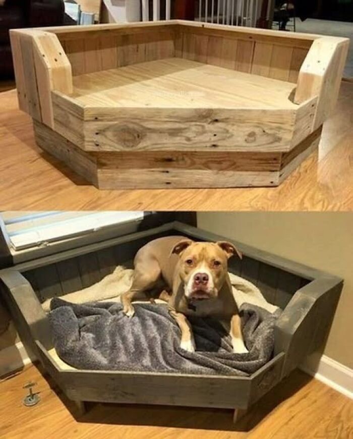 Handcrafted wooden dog bed frames showcasing rustic wooden creations for pets