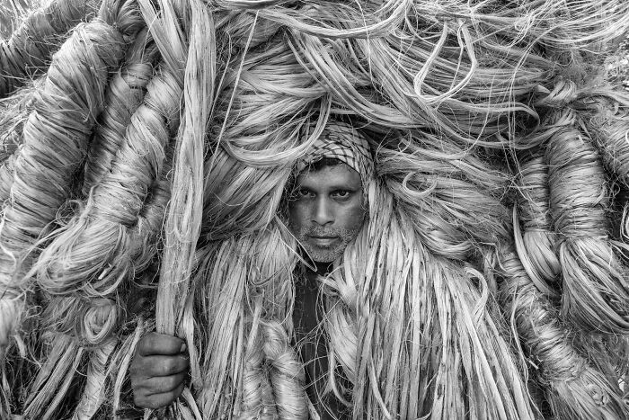 Powerful black and white portrait photos of a laborer carrying large bundles of raw jute fiber