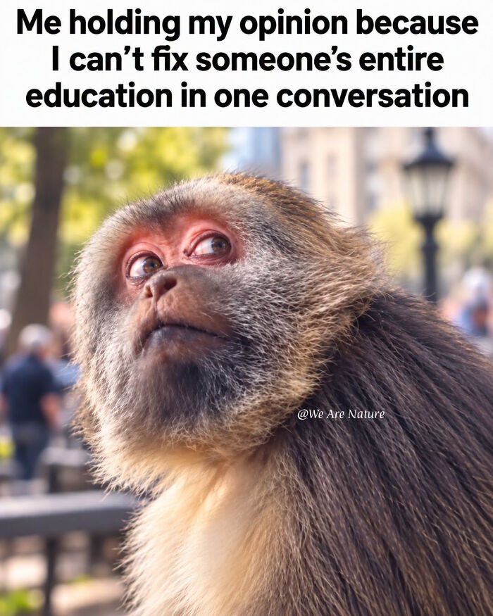 Relatable animal memes showing a monkey looking up thoughtfully with text about holding opinions.
