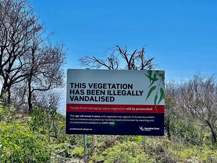 Useful and ingenious things: A public sign warning against illegal damage to native vegetation.